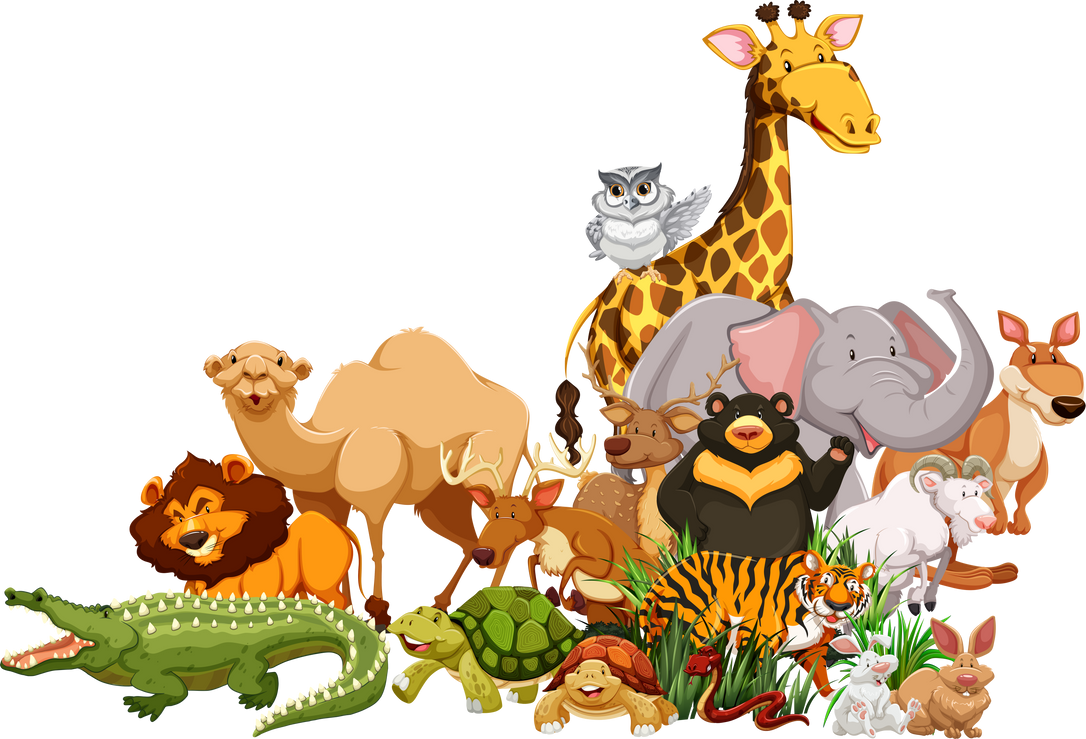 Different types of wild animals together